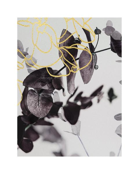 Mulberry Series | Print 4