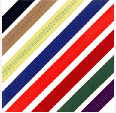 1" Tubular Webbing x 300 ft. Spool