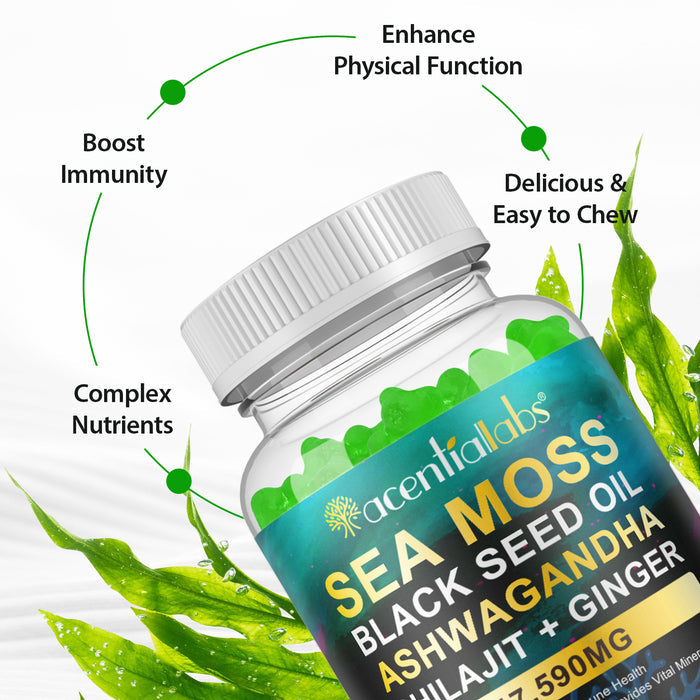 acentiallabs SEA MOSS BLACK SEED OIL ASHWAGANDHA SHILAJIT+ GINGER,17590MG,60 GUMMIES Bottled Gummies