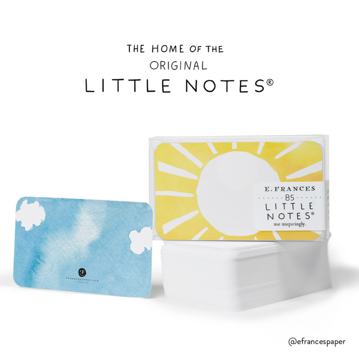 Little Notes®-Ladybugs Boxed Set of 55 Mini Notes