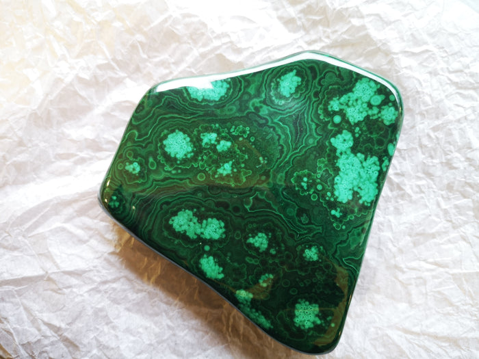 Earthstore® Malachite Freeform display (535g 105x98x58mm) Namibia