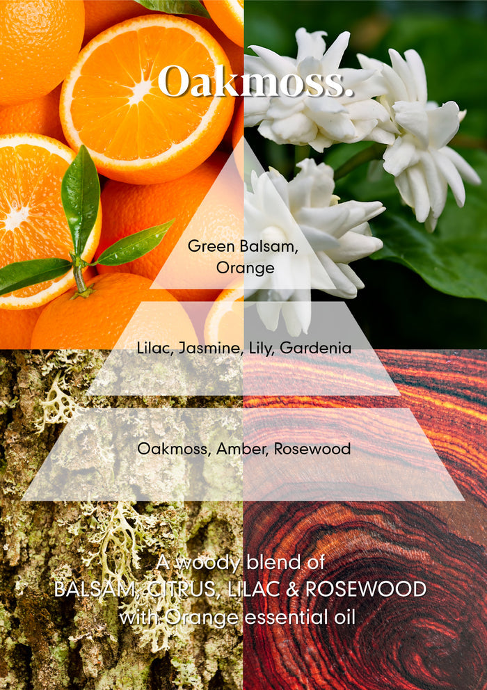 Oakmoss Reed Diffuser