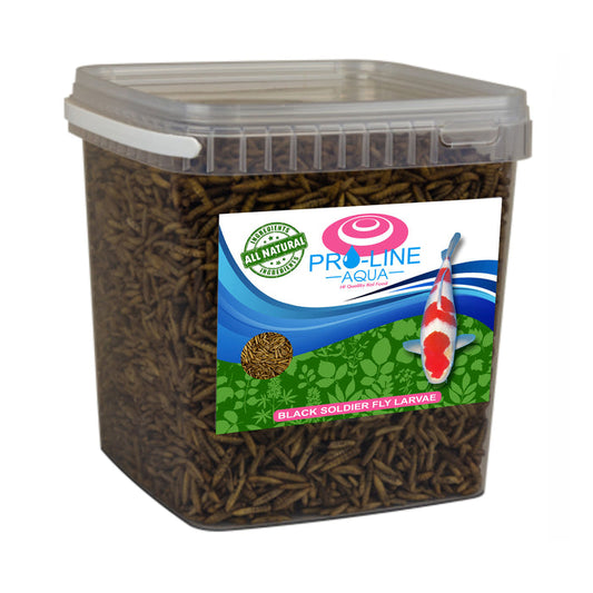 PRO-LINE AQUA - BSF (Black Soldier fly) Larvae 2.5ltr / 400g