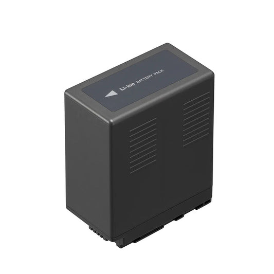 Rechargeable Battery/Charger Travel Pack - VW-VBG6